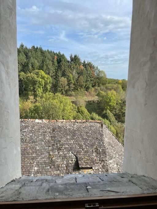 Maison De Village Avec Vue 4/5 Personnes Lou Rouchou Voutezac ภายนอก รูปภาพ